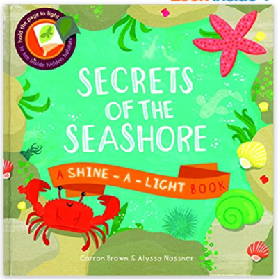 Kids and parents love these interactive Usborne Shine A light books. What child doesn't love a flashlight. These fun books make great gifts for birthdays or during the holidays.
